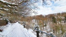 Topographie Familientraum oberhalb des Weingutes �DREI HERREN�