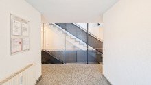 Ansprechendes Treppenhaus Wohlf�hl-3-Raum-Gartenwohnung - S�d-West-Ausrichtung und TG-Einzelstellplatz